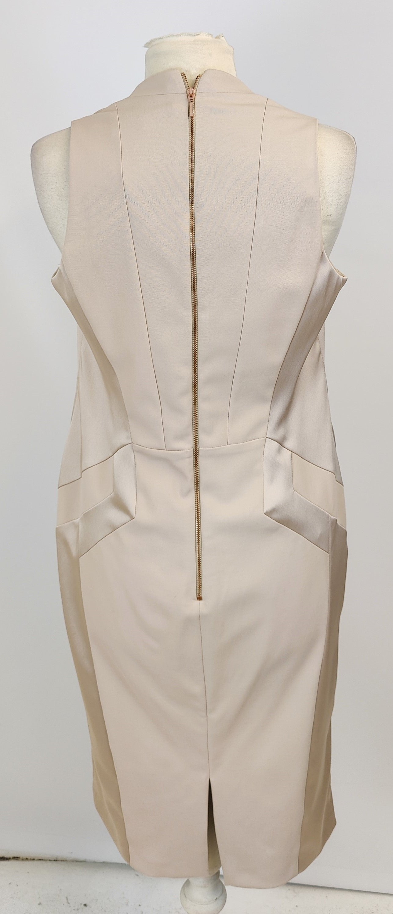 Coast Sleeveless Dress with Satin Inlays-Champagne