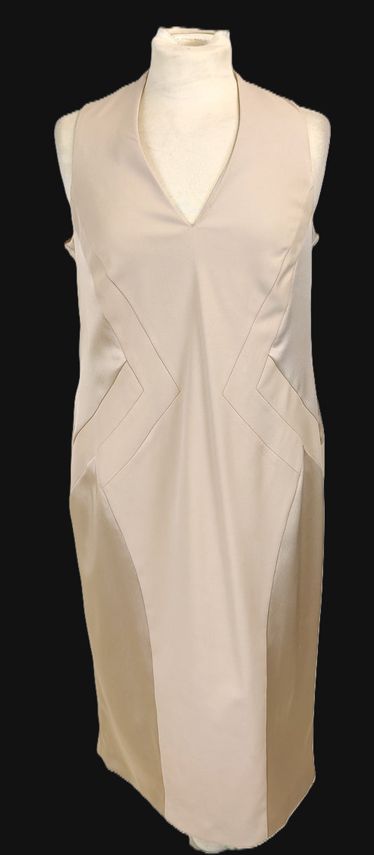 Coast Sleeveless Dress with Satin Inlays-Champagne