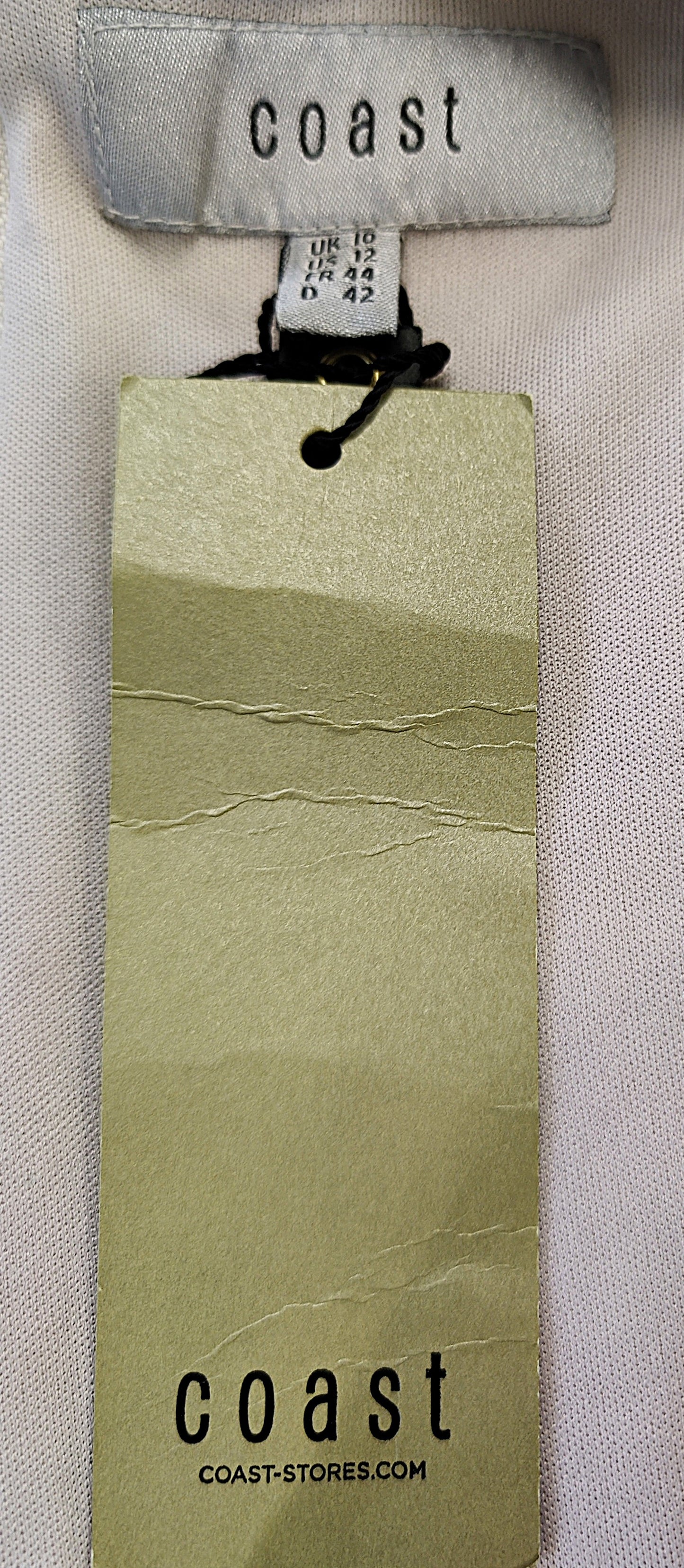 Coast Sleeveless Dress with Satin Inlays-Champagne